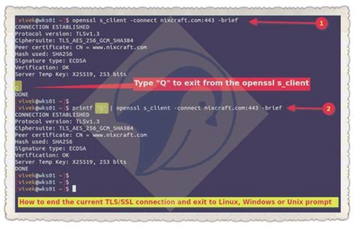 Socket errors running 