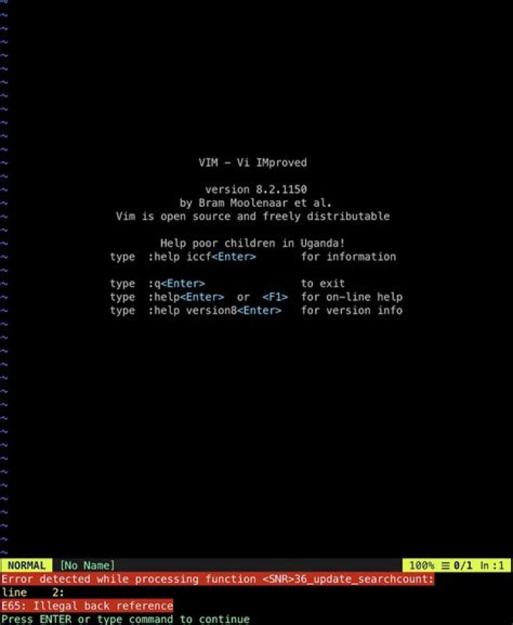 Something missing with Vim - error from vimrc
