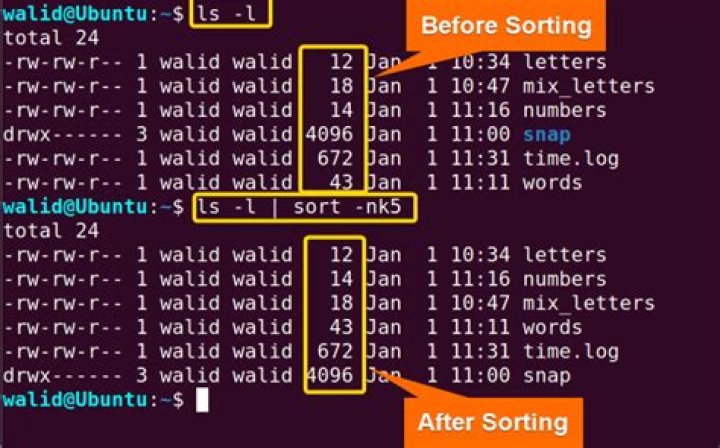 sorting a file using the sort command and overwrite it