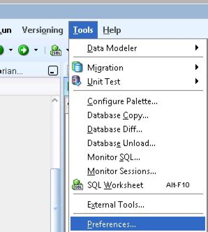 SQLDeveloper access preferences
