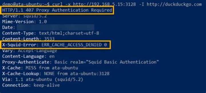 Squid cache access denied