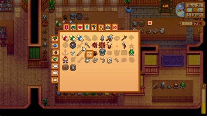 Stardew Valley Museum bug