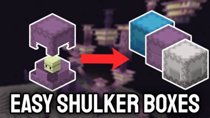 Stash items in the shulker box