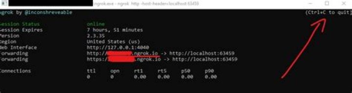 Stop sharing a port on Ngrok