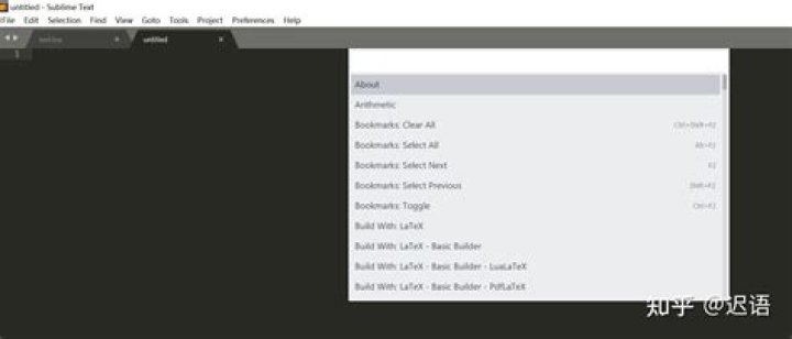 Sublime Text 3 : Can't find installed packages