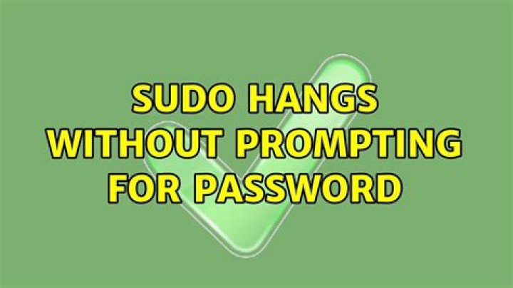 Sudo hangs without prompting for password