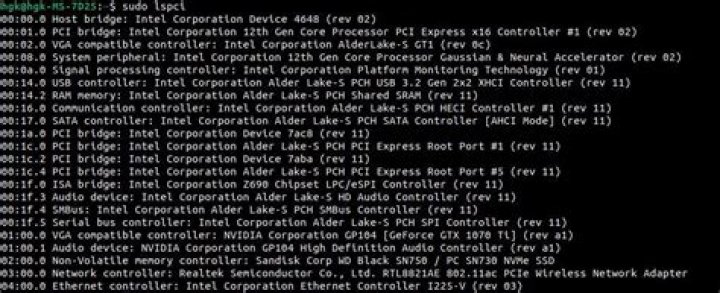 sudo lspci