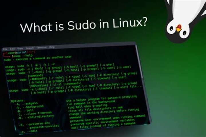 sudo