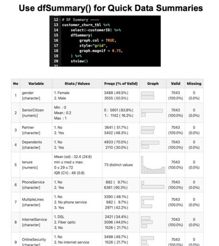 summarytools error while knitting in R Markdown