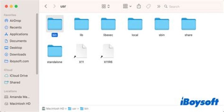 Suspecious hidden .swp file in usr/bin