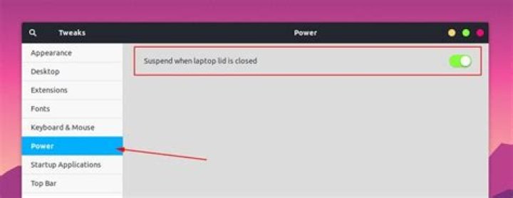 Suspend in tweaks