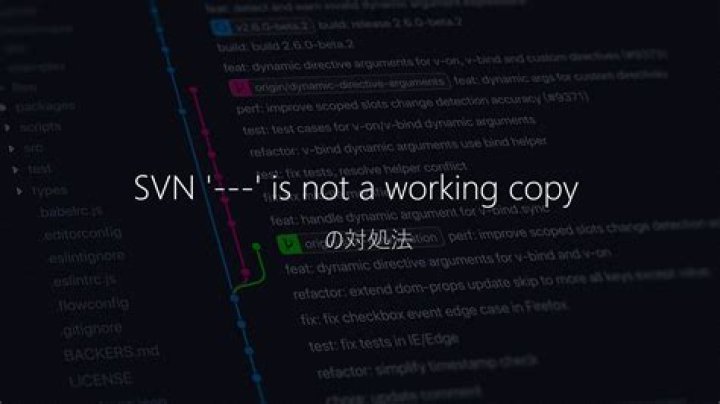 SVN Error - Not a working copy