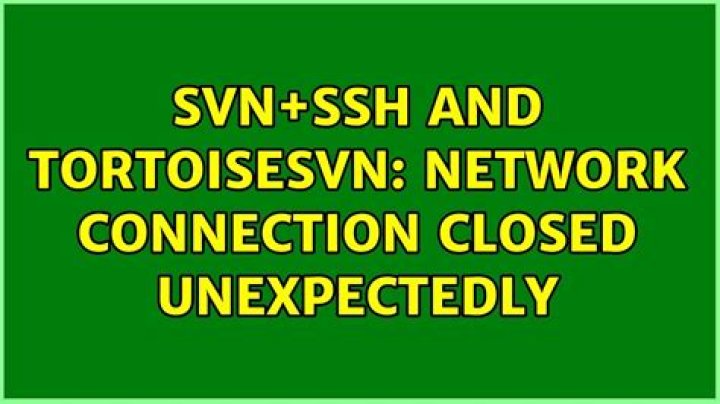 svn+ssh and TortoiseSVN: Network connection closed unexpectedly