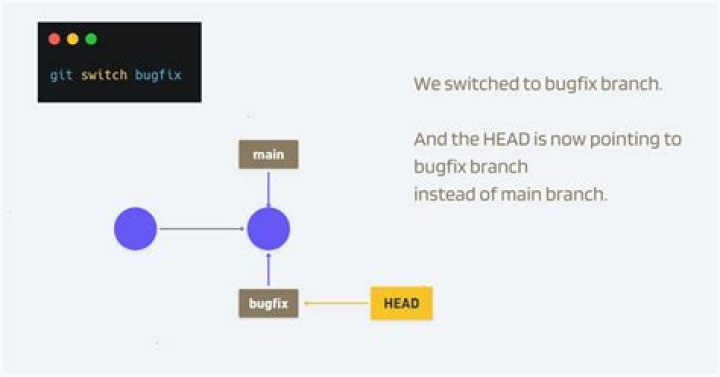 Switching branch