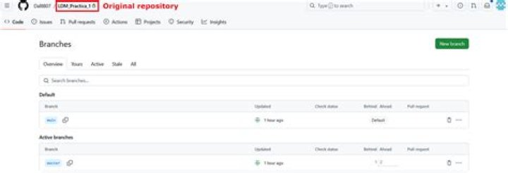 Sync Upstream branches in a forked repository from the parent repository