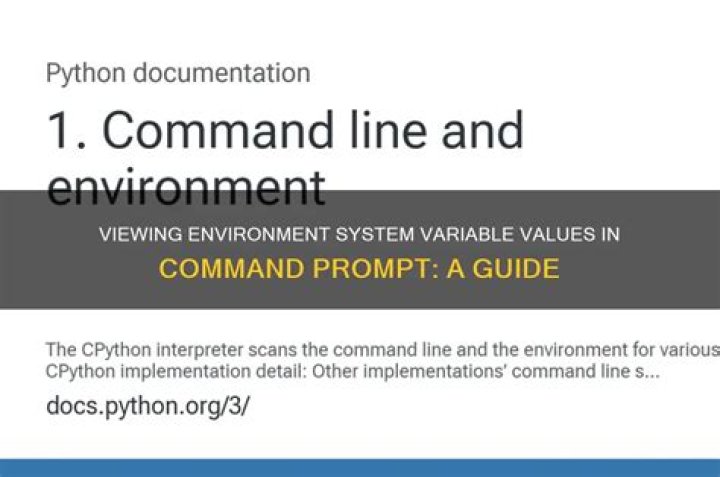 System Variable