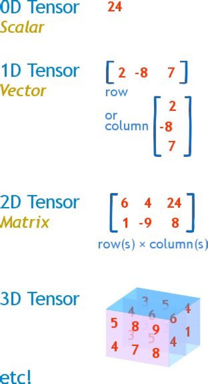 Tensor algebra of a vector space $V$ defined as a free algebra on $V$.