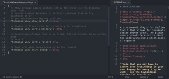 TerminalView in SublimeText