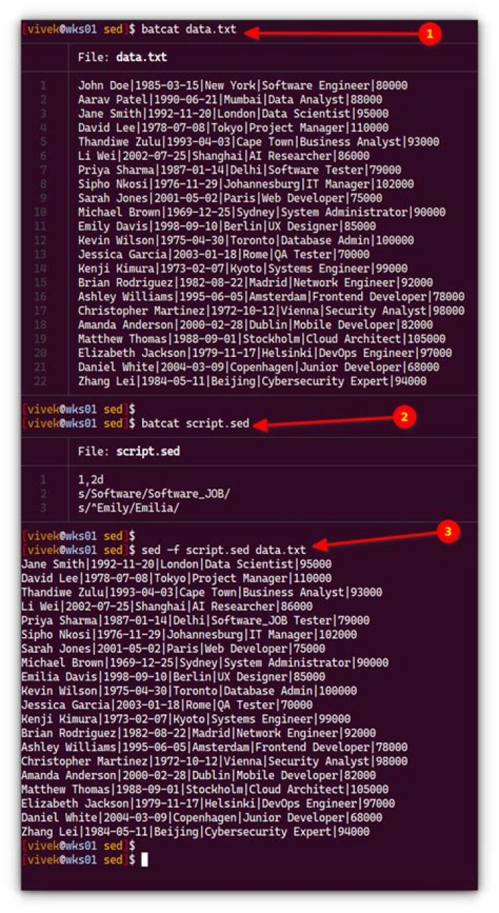 Text substitution (reading from file and saving to the same file) on linux with sed