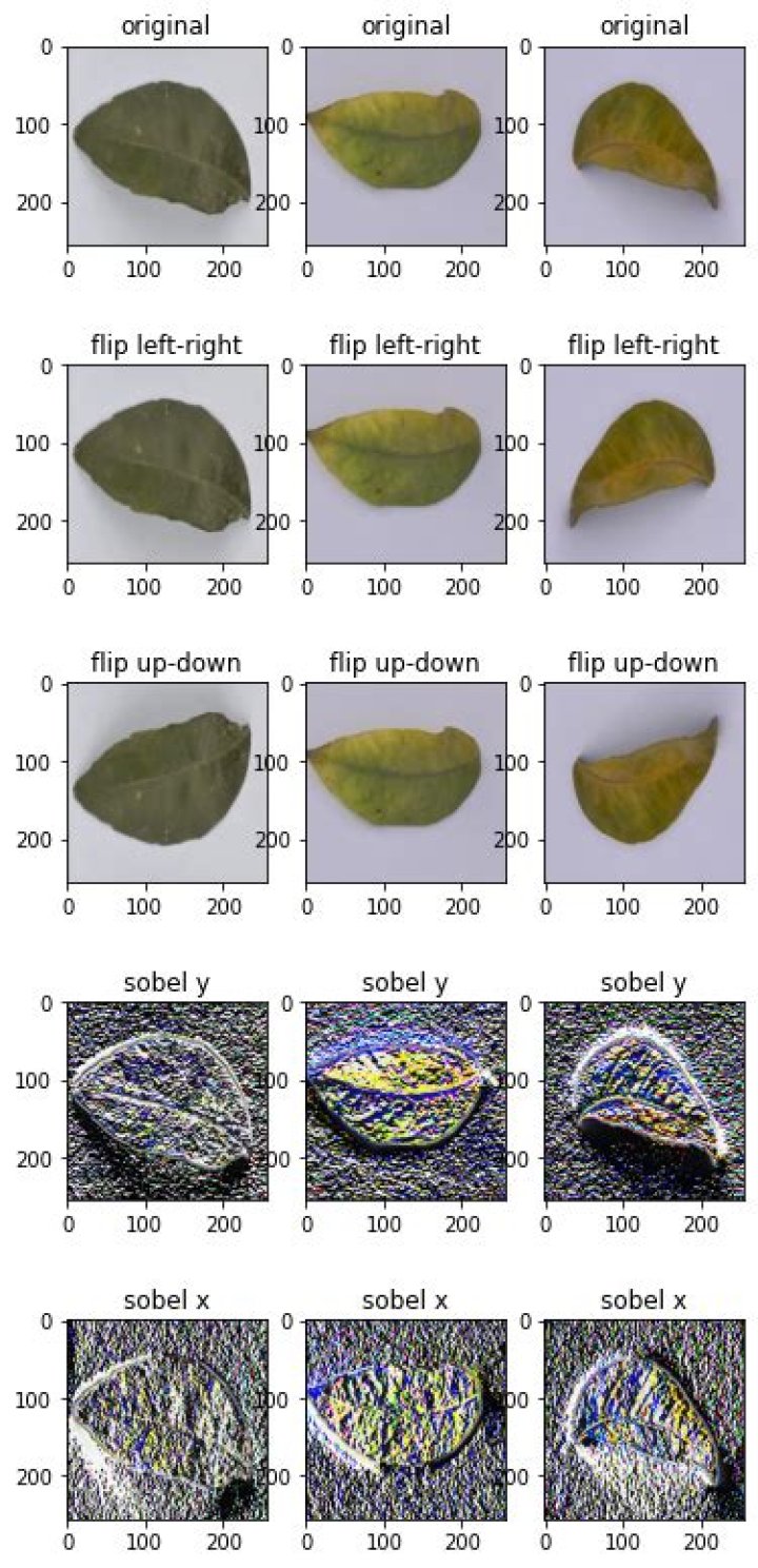 tf.image.random_flip_left_right() for multiple images together