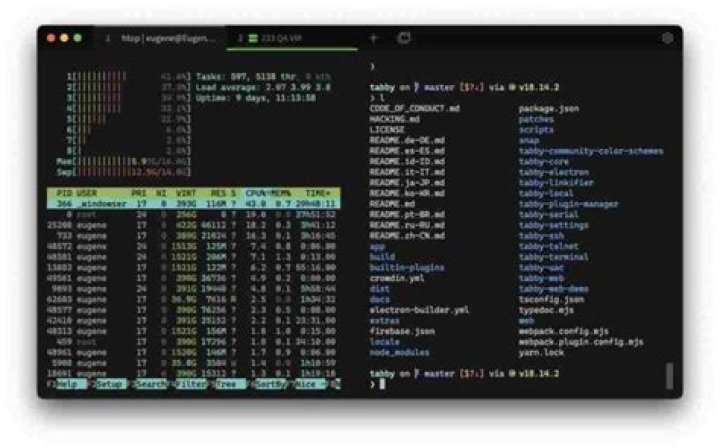The best terminal emulator which can run scripts and offer good control