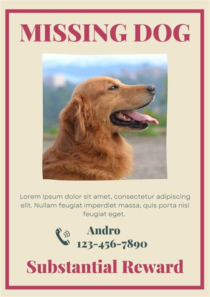 The dog for 