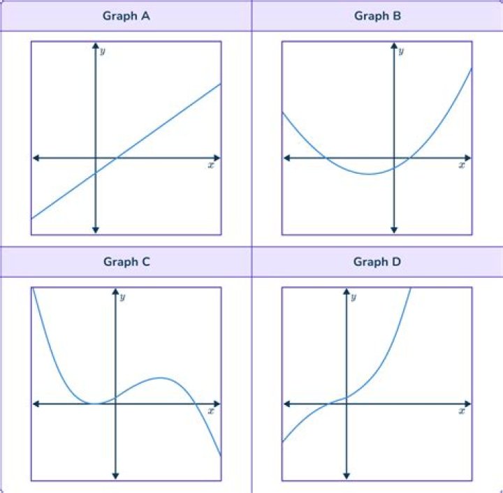 the graph