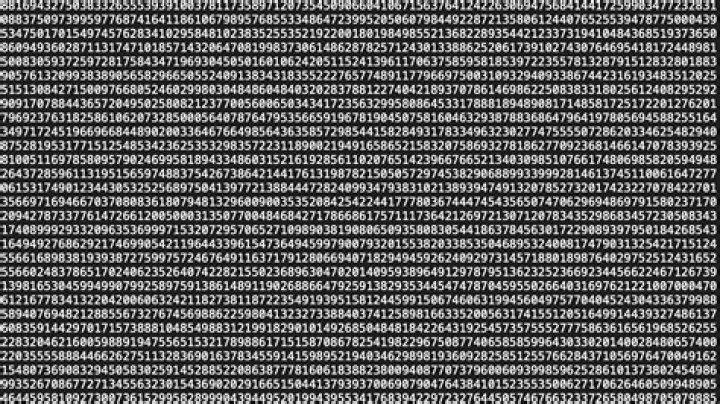The largest number that cannot be made using a combination of $5$ and $11$?