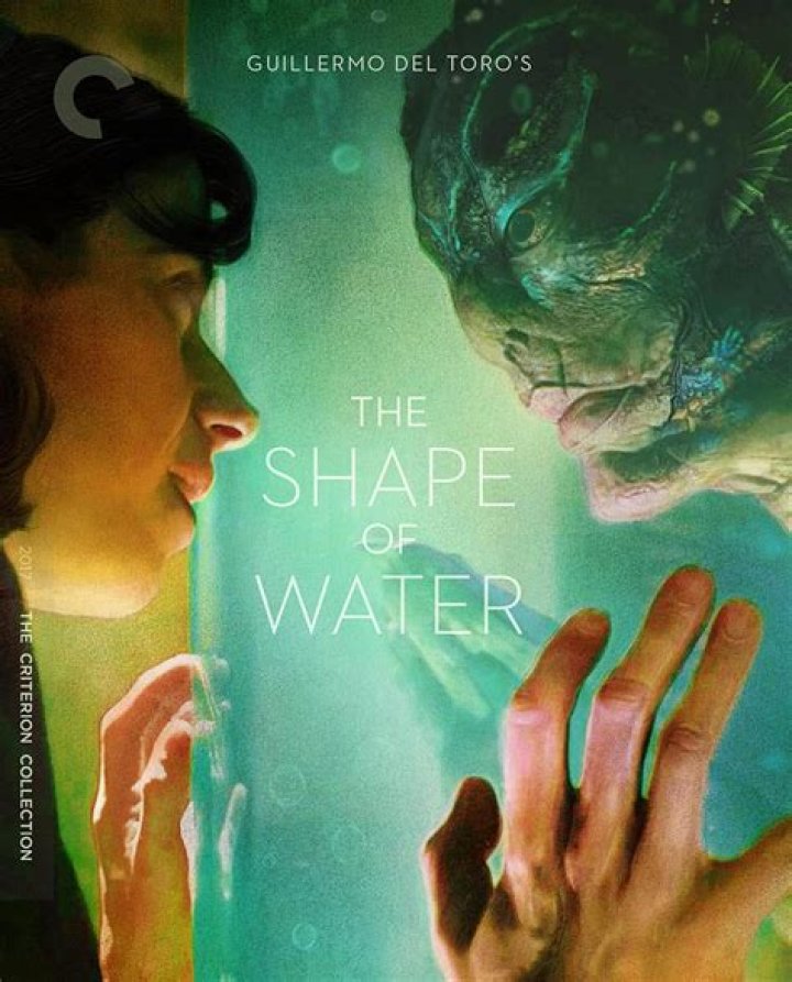 The shape's appearance