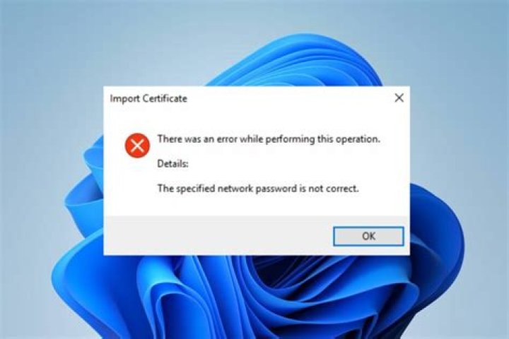 The specified network password is not correct when mapping share in Windows 10 & 11