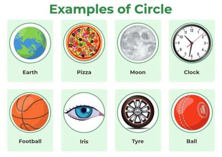 This are the circles