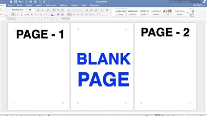 This is the blank page