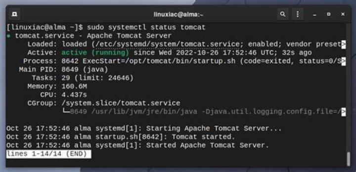 Tomcat 9 doesn't have tomcat.pid file