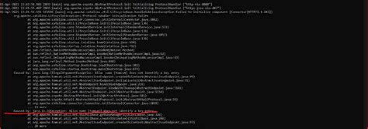 TOMCAT SSL Error: Alias name does not identify a key entry