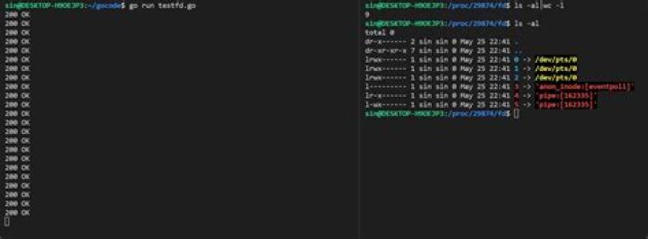 too many open files for a Golang server running behind Caddy