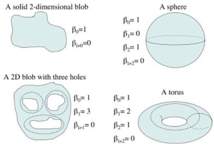 topological graph theory and the first Betti number