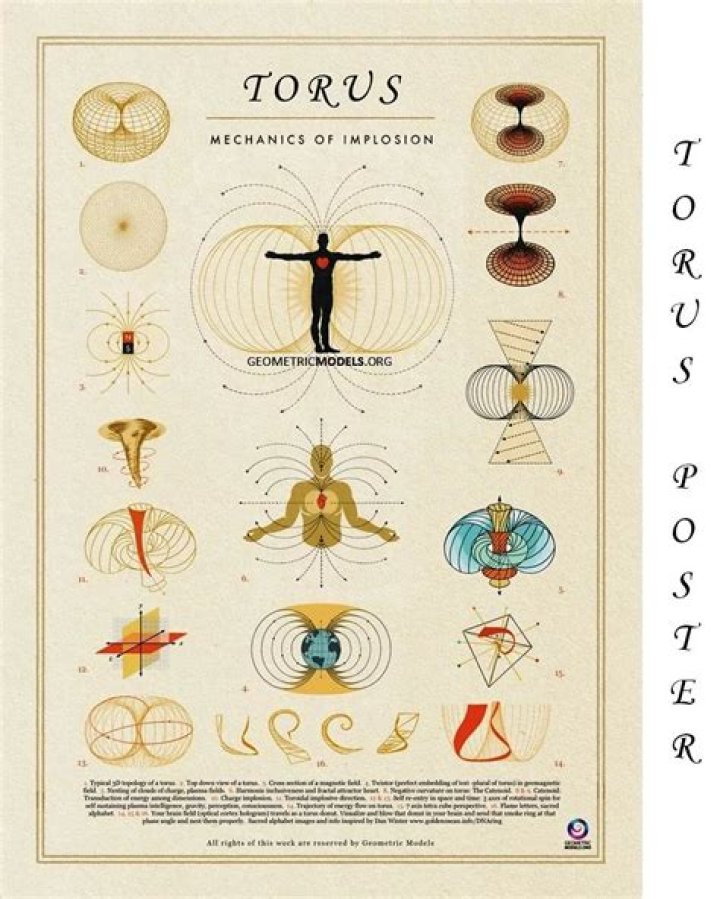 Topologies on the Torus