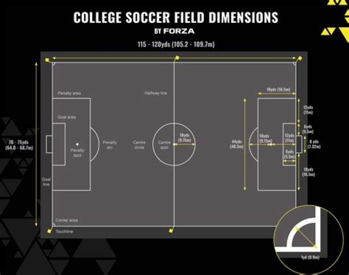 Tor dimension of a field
