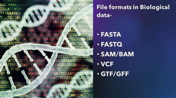 transformation of csv file with dna sequences to fasta format with rstudio and with biostrings