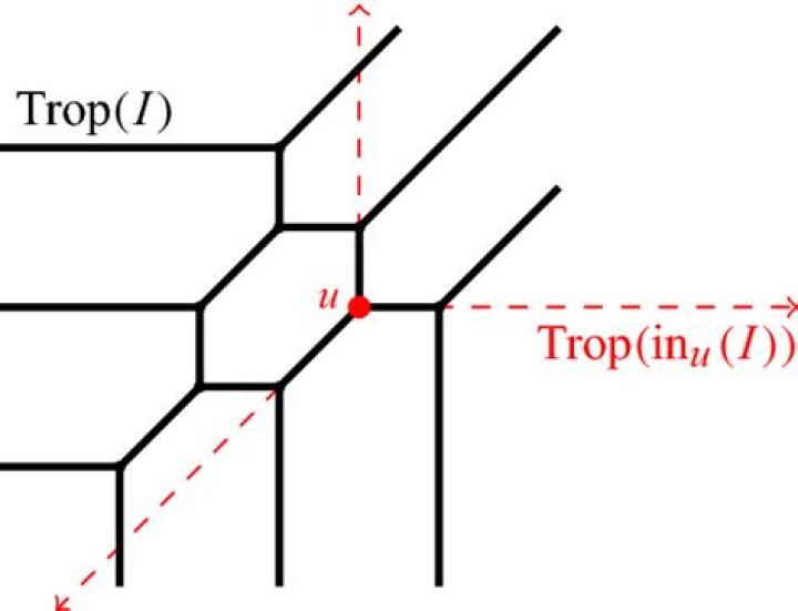 Tropical cubic curve