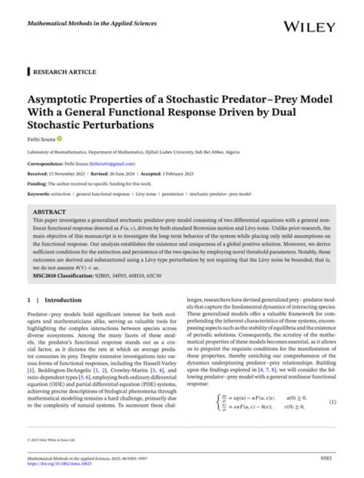 Two-feature stochastic model
