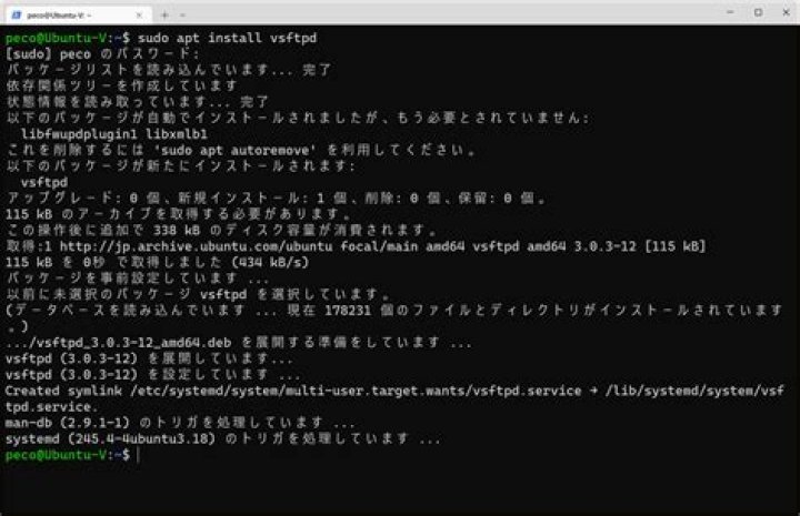 Ubuntu 18.04 LTS unable to start vsftpd