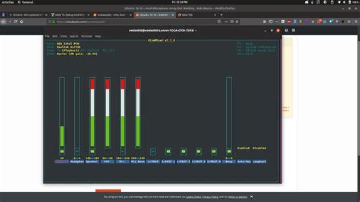 Ubuntu 18.10 -- Intel Microphone Array Not Working