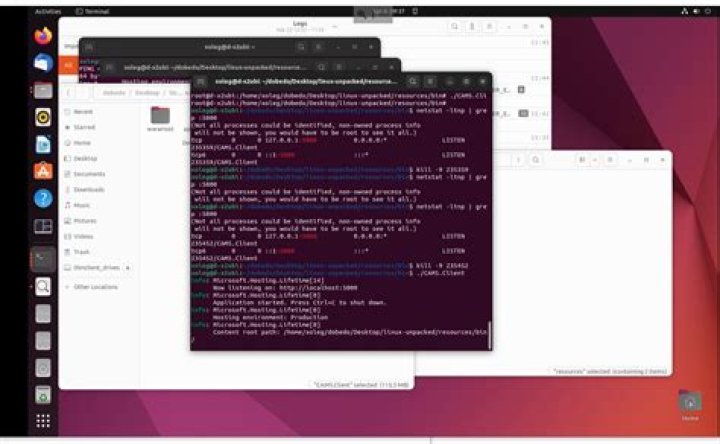 Ubuntu Failed to bind to address http://127.0.0.1:5000