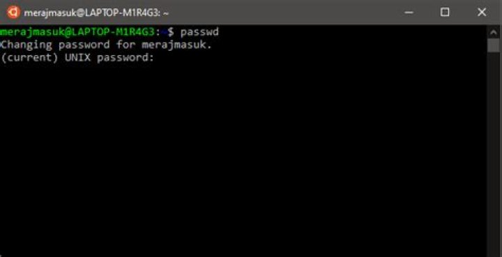 Ubuntu terminal not taking keyboard input while asking for user password