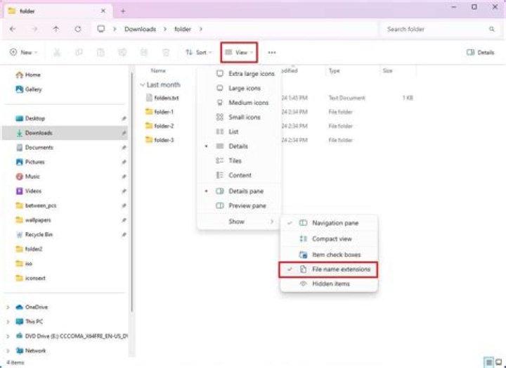 Unable to change the file-format of New Text Document