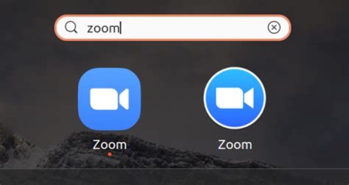 Uninstall extra Zoom Meeting application?