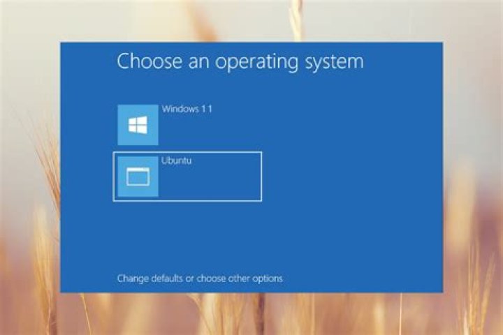 Uninstalling Ubuntu for a fresh start