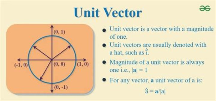 Unit vector notation - both line and hat?