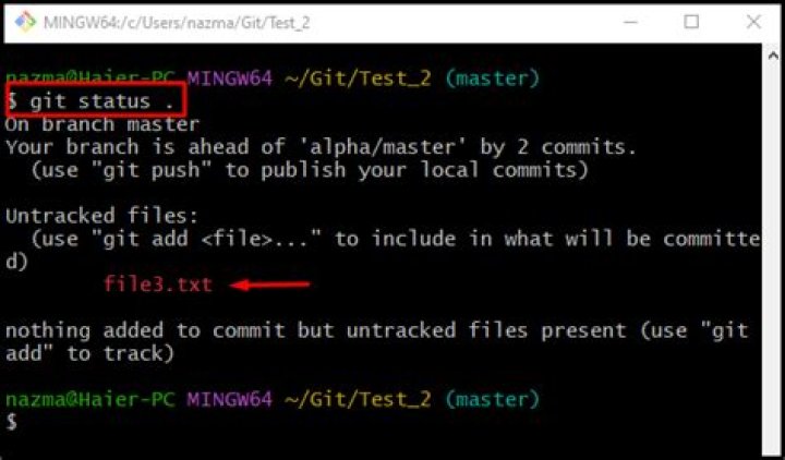 Untrack files from git temporarily